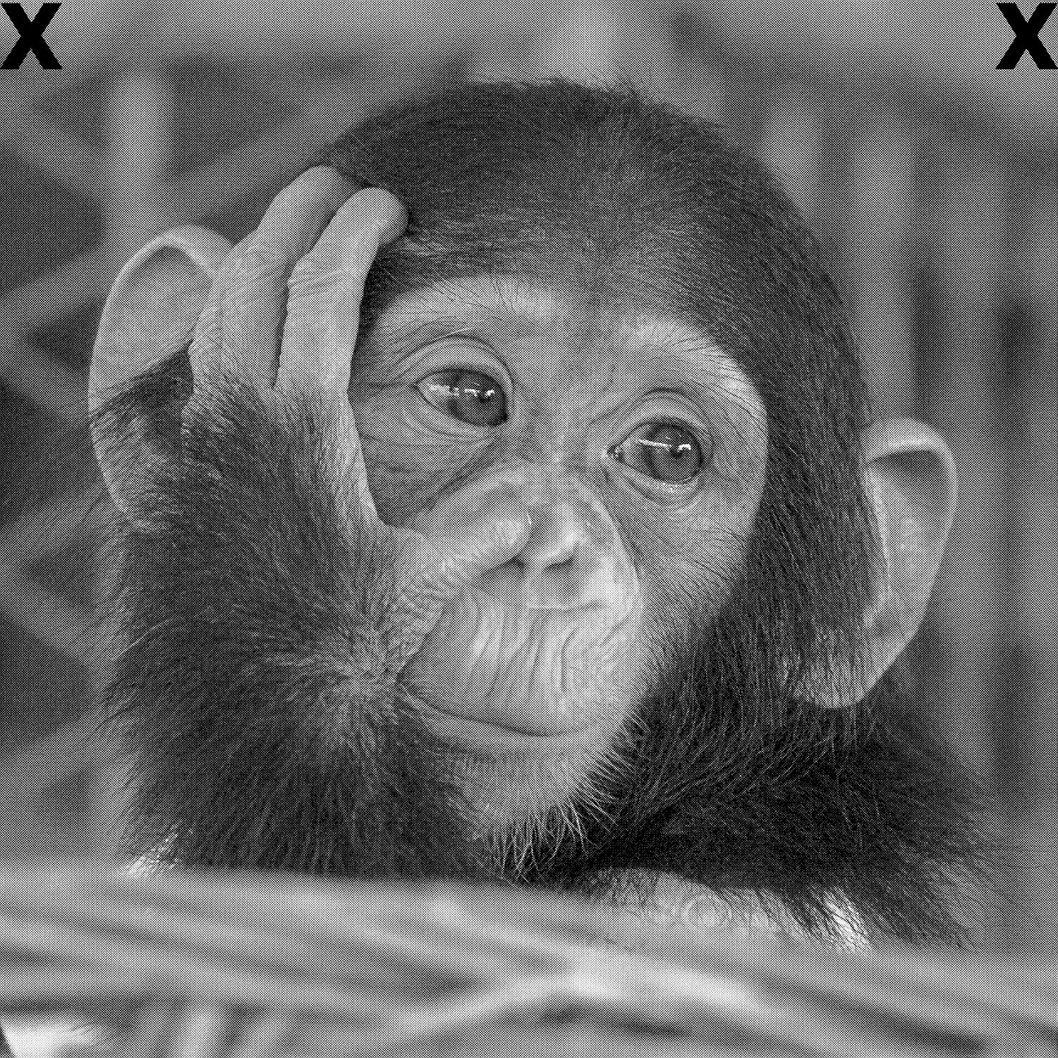 Cute baby monkey portrait - Chimpanzee face - High Detail Airbrush stencil HD stencils